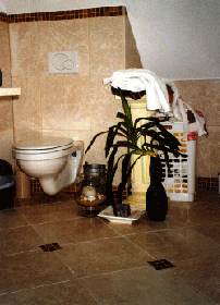 Antikmarmor Hofheim.gif